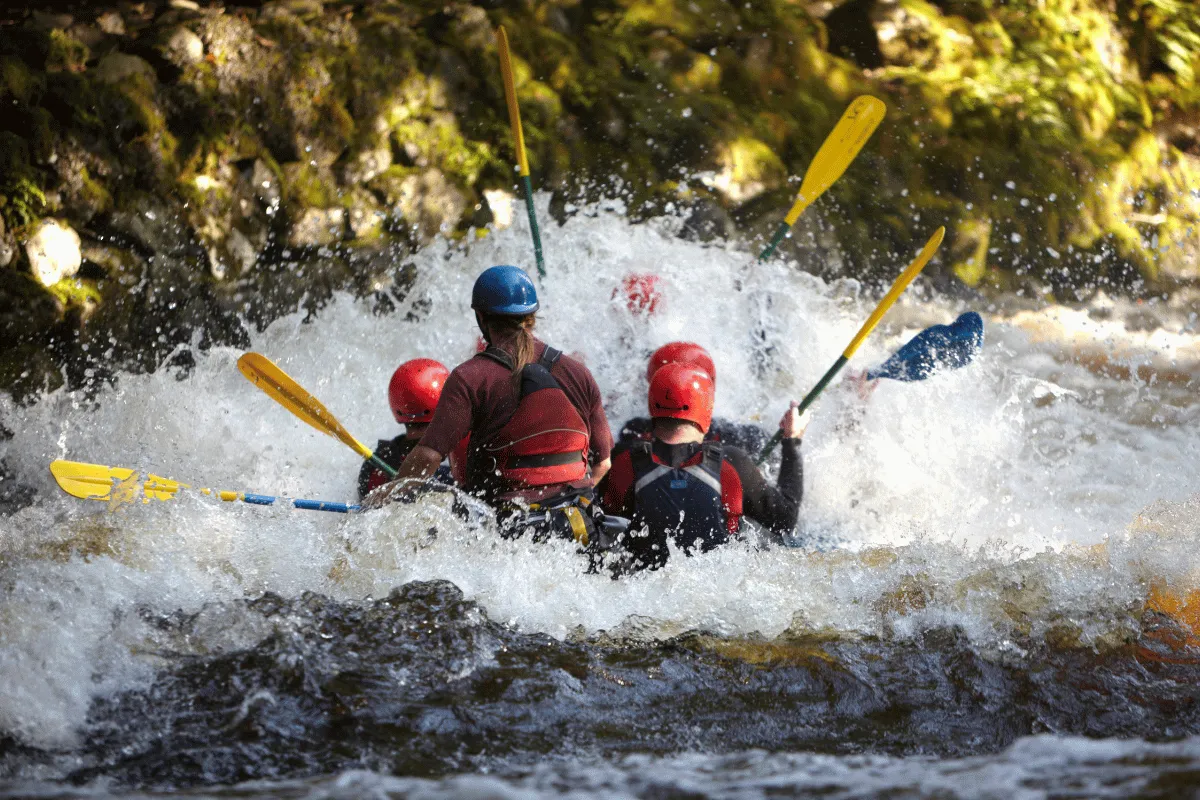 Arum jeram