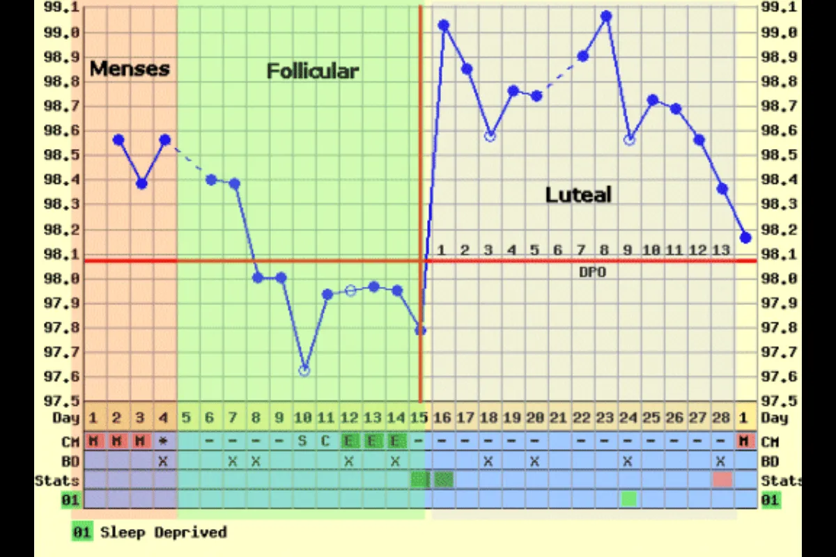 Metode Suhu Basal Tubuh