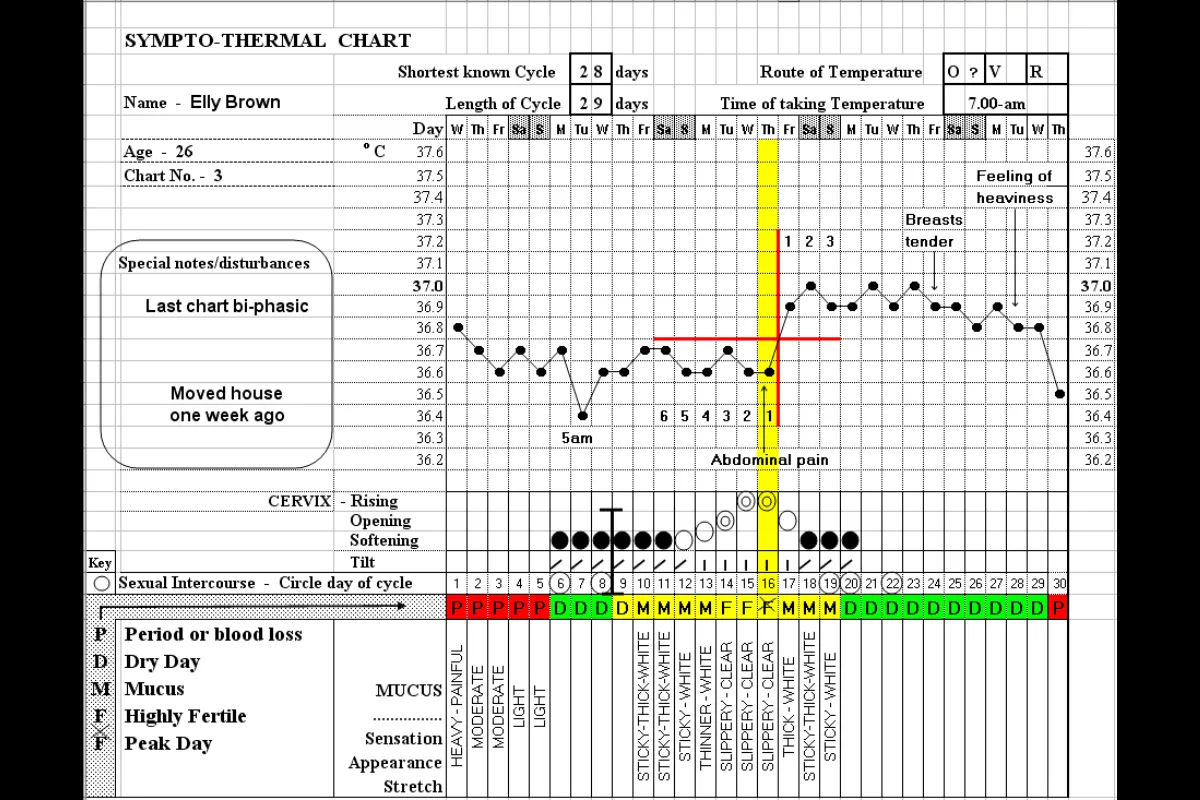 Metode Simptothermal