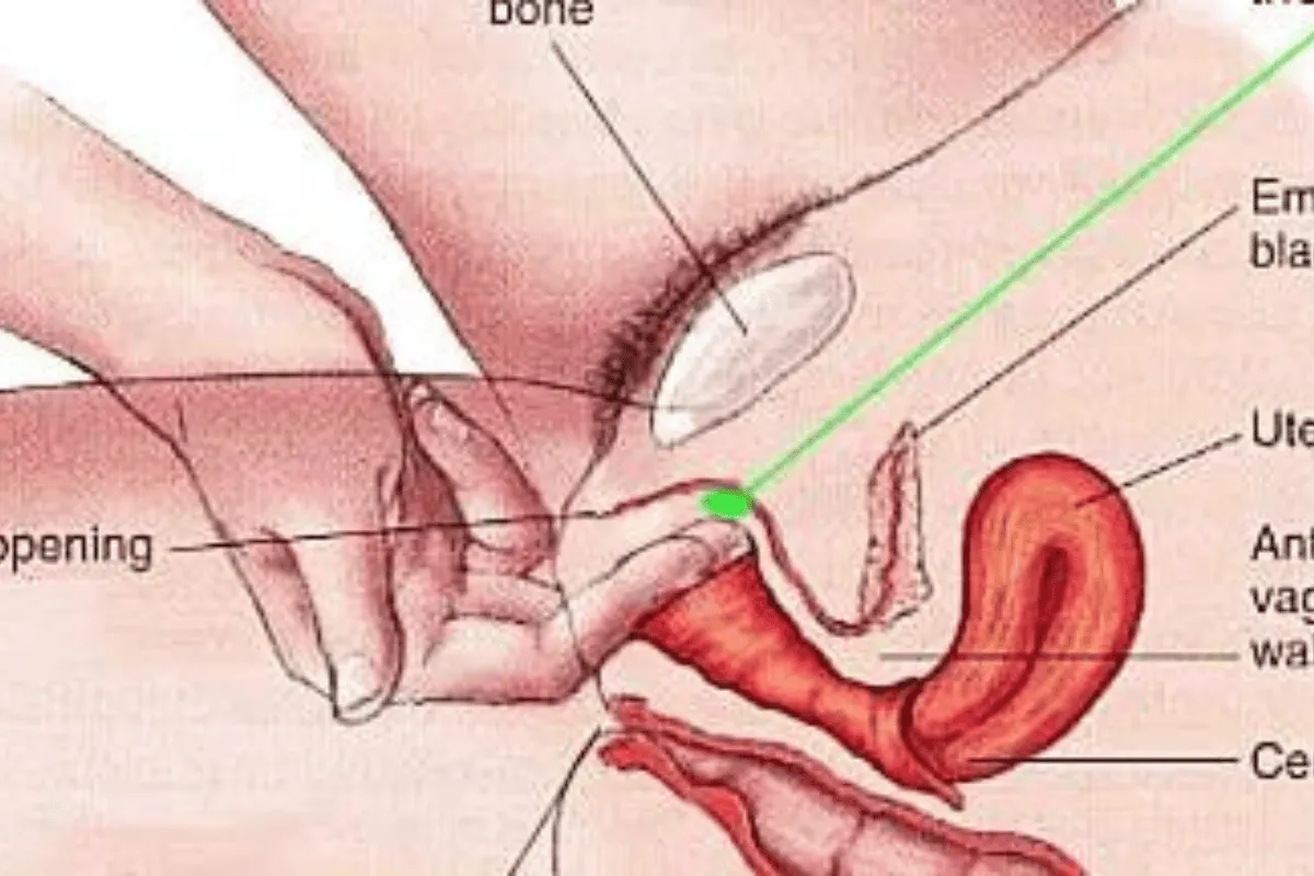 Cari Titik ‘Manis’ Pasangan